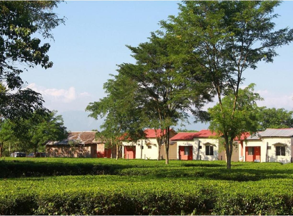 The Mystic Forest - A Tea Garden Resort At Dooars Madari Hat Exterior foto