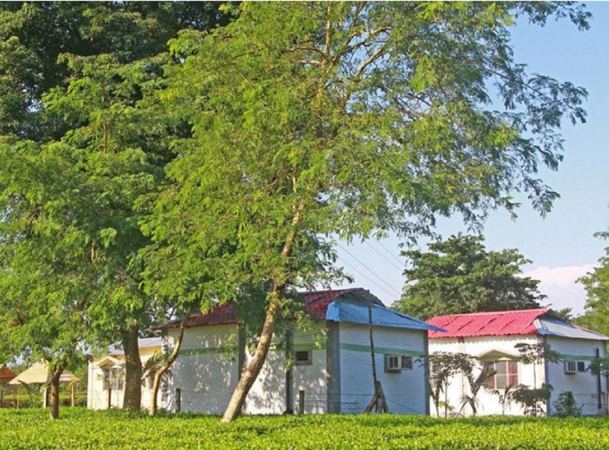 The Mystic Forest - A Tea Garden Resort At Dooars Madari Hat Exterior foto